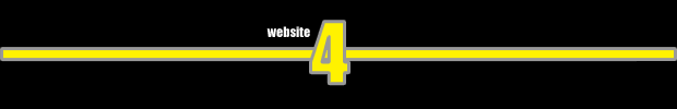 Website 4