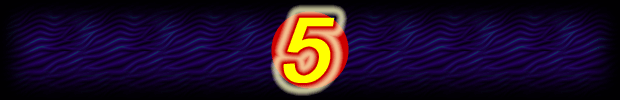 Website 5