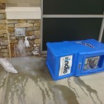 Something Strange Happened Here