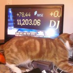 Vincent Still Wants Attention